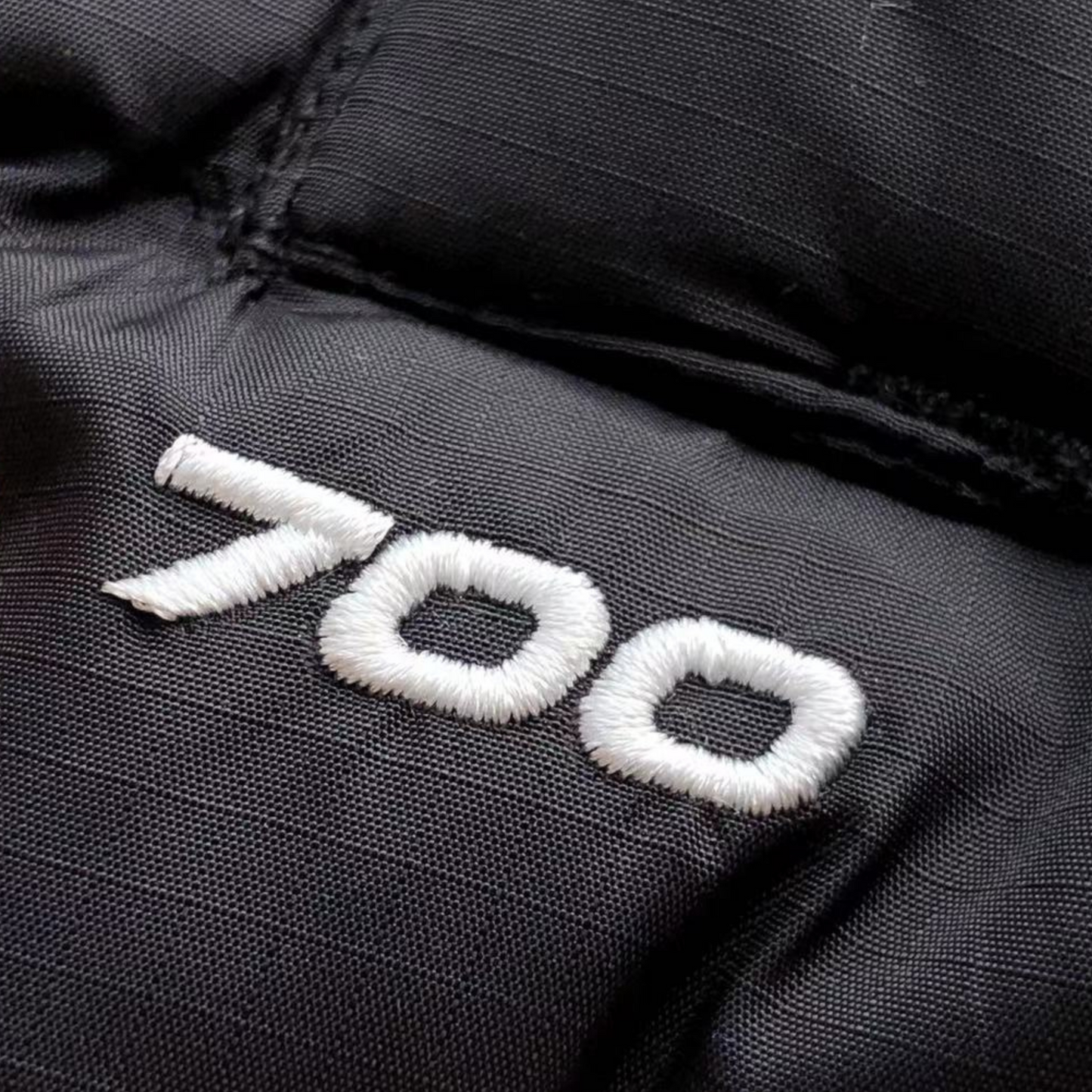 Nuptse 700 Mens Puffer Jacket